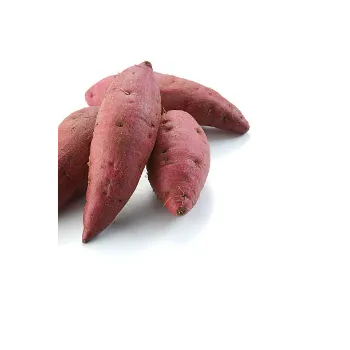  Fresh  Sweet Potato